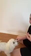 Anahita compassion video 1
